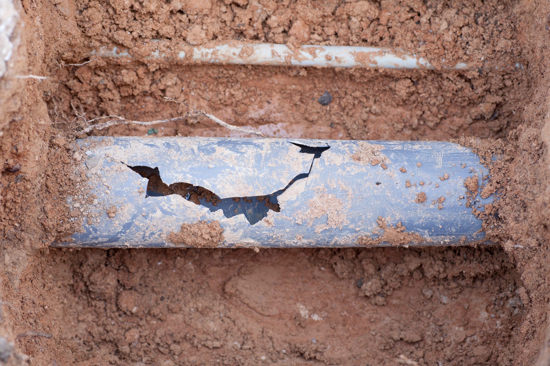 Section of broken sewer pipe in dirt