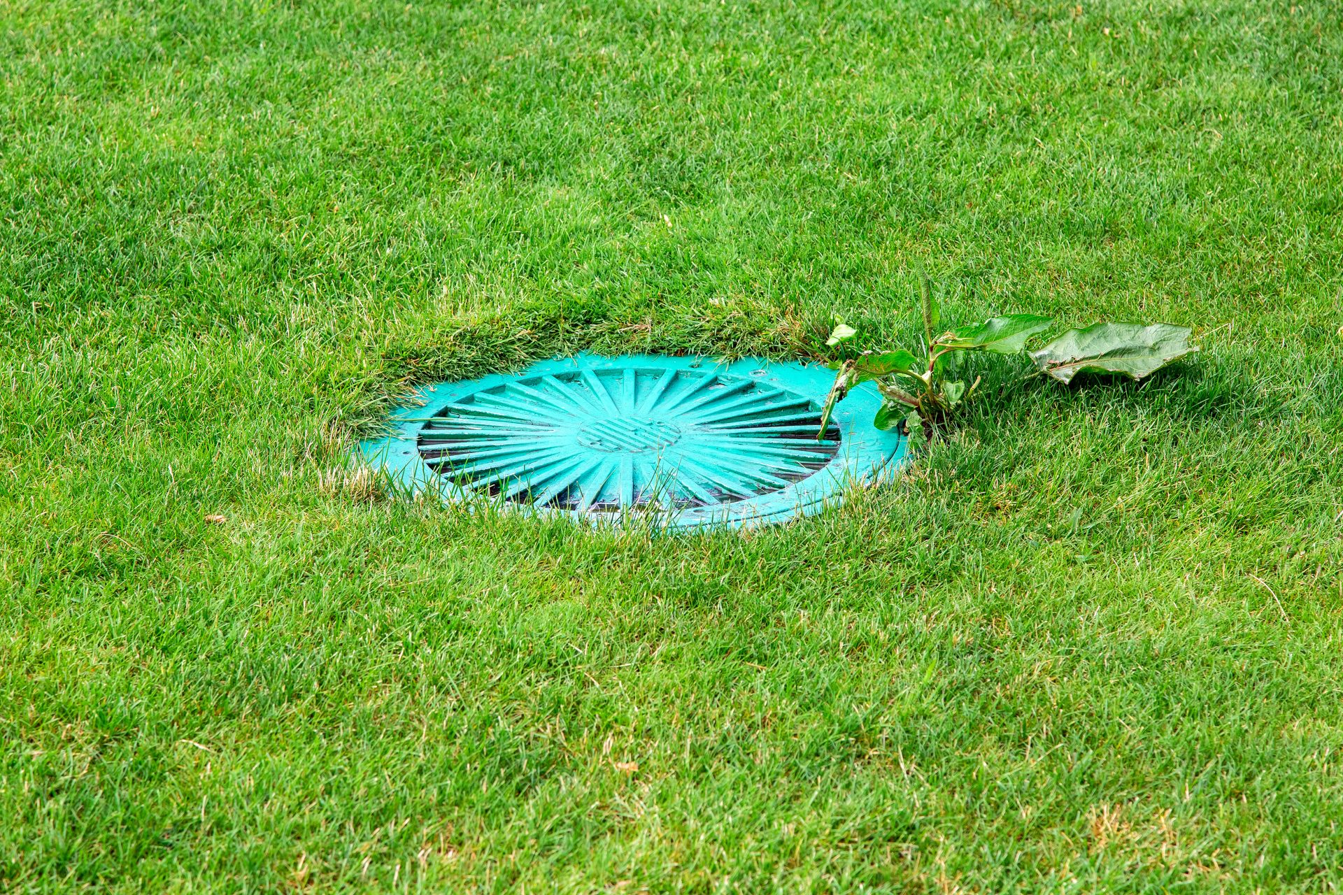 Round sewer tank cover among green grass