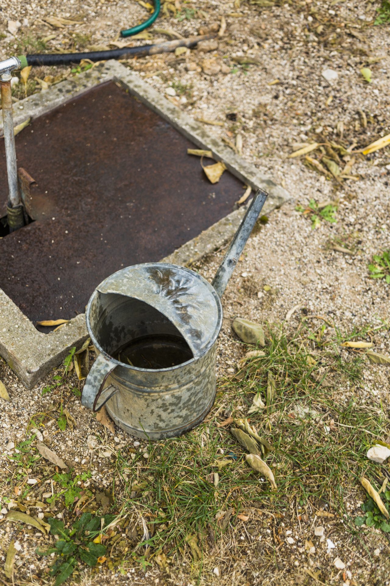 An outside rectangular septic tank cover next to a plant watering can on dry-looking grass