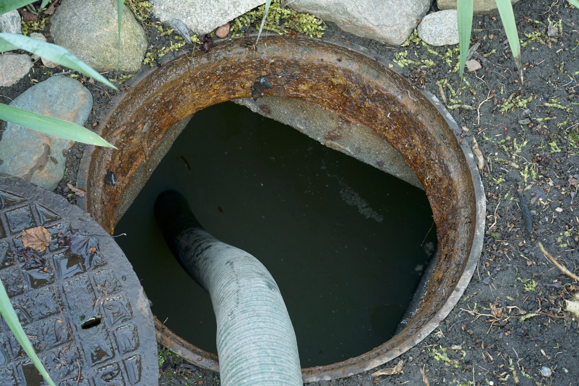 Overhead shot of a septic tank being pumped.